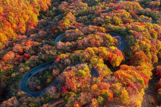 日光の紅葉21 いろは坂の渋滞や混雑状況は 回避する方法も Naminotes