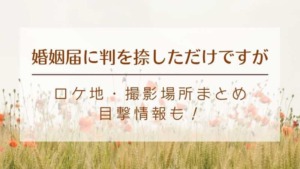 婚姻届に判を捺しただけですが 清野菜名の髪型オーダー方法 外ハネミディアムがかわいい