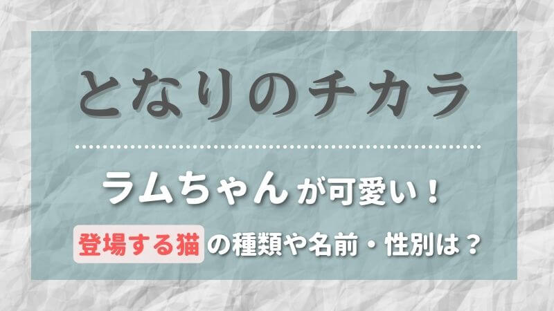 となりのチカラの猫の種類や名前 性別は ラムちゃんがかわいい