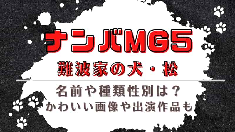 ナンバmg5の犬 松の名前や種類性別は かわいい画像や出演作品も Naminotes